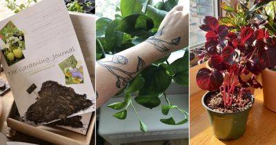 15 New Year Indoor Gardening Resolutions You Must Follow