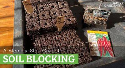 Soil Blocking: A Better Way to Start Seeds Indoors