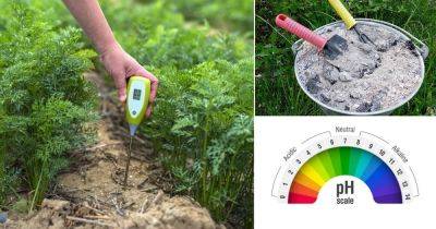 How to Change Your Soil pH?