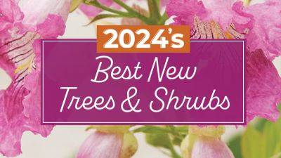 2024's Best New Garden Plants: Shrubs and Trees