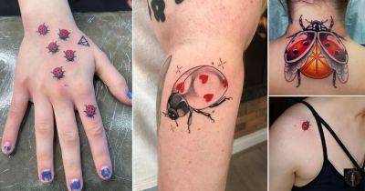 32 Ladybug Tattoo Ideas You Must Copy!