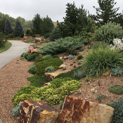 How to Pick the Best Mulch for Your Mountain West Garden Beds
