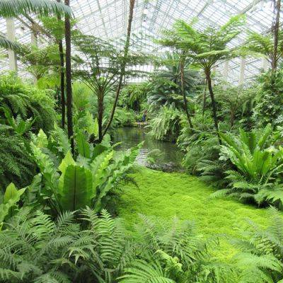 Have You Visited the Garfield Park Conservatory?