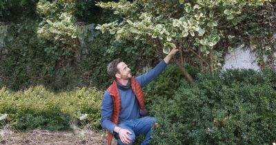 Nick Bailey's guide to March pruning
