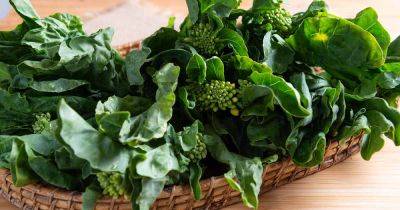How to Grow Chinese Broccoli