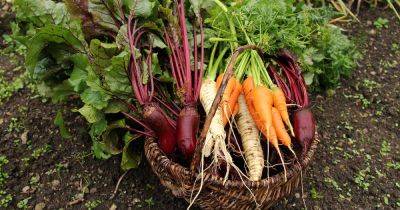 11 Easy Ways to Extend the Harvest Season | Gardener's Path