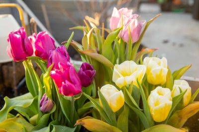 7 Spring Gardening Tasks You Can Get Started on Now