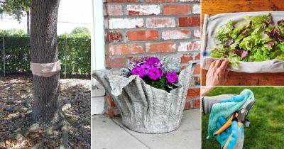 12 Cool Things to Do With Old Towels in the Garden