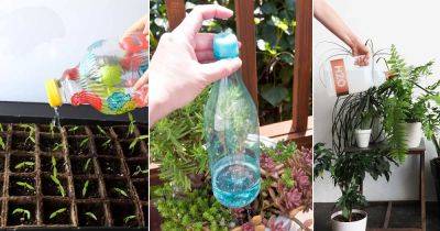 24 DIY Indoor Plant Watering Can Ideas
