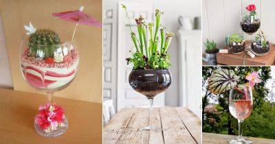Indoors Plants You Can Grow in Wine Glasses