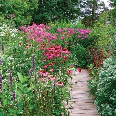 Tips for Installing and Caring for a Pollinator Garden