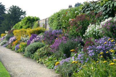 Designing a Herbaceous border