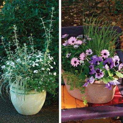 Welcome Spring with These Container Designs