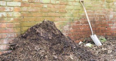 Your gardening questions answered: What’s the best peat-free seed compost for my garden?