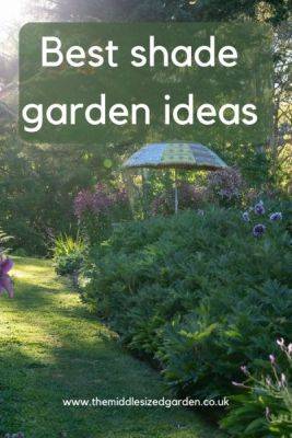 Shade gardening – how to choose perfect shady garden plants