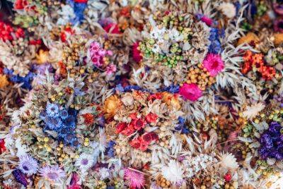 Dried Flower Panels Are the Perfect Spring DIY