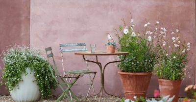 Brighten up your garden with Crocus plant pots