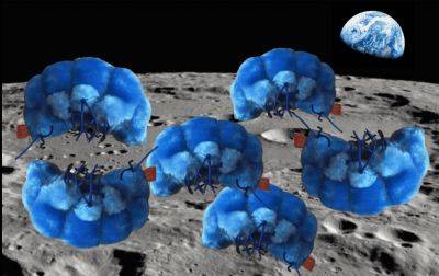 Could tardigrades have colonized the Moon?
