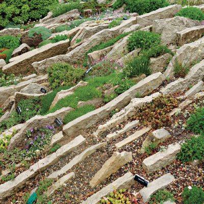 How to Build a Crevice Garden