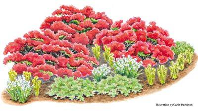 Colorful Spring Garden Bed with ‘Hino-Crimson’ Azalea