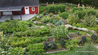 Maximize Your Vegetable Harvest with Succession Planting