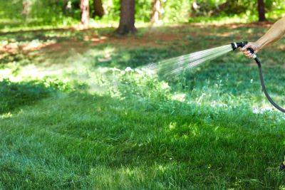 5 Mistakes You're Definitely Making When Watering Your Lawn, From a Pro