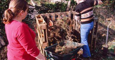 How to Build a Compost Bin