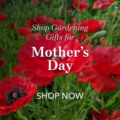 Gardening Gift Ideas for Mother’s Day 2024