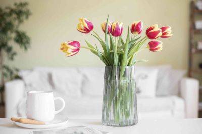 5 Tricks You Should Try to Keep Tulips from Wilting