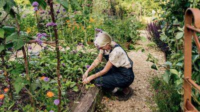 How pioneering women at the turn of 20th century changed the course of British gardening | House & Garden