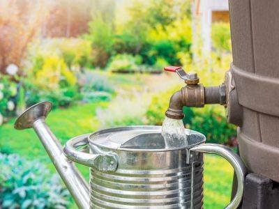 Brian Minter: It's critical to install supplemental water supply for gardens