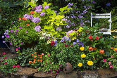 Should You Be Using Sourdough Starter In Your Garden?