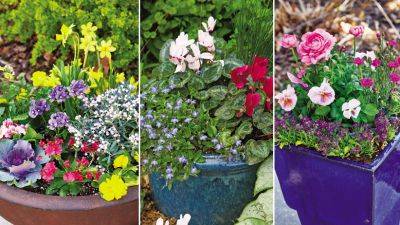 Cool-Weather Plantings for Spring Containers