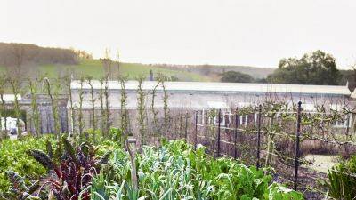 How to start a kitchen garden: what to do in April | House & Garden