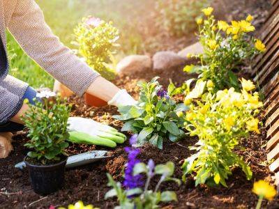 Ensure soil has 'staying power' to see plantings through the season
