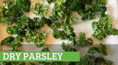How to Dry Parsley Using 3 Methods