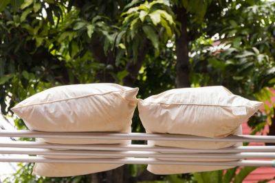 Can You Truly Clean Your Pillows with Sunlight?