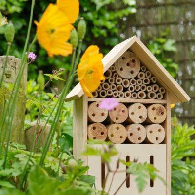 Building your own bug hotel