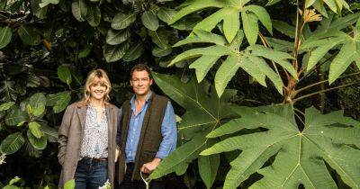 Dominic West on his natural swimming pool: ‘When I’m in the mood I do a spot of underwater gardening’