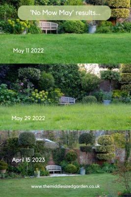Should you do No Mow May? The pros and cons…
