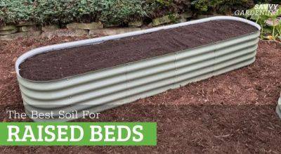 The Best Soil for a Raised Garden Bed