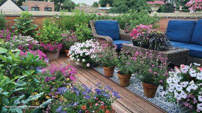 Tips for Growing a Rooftop Garden
