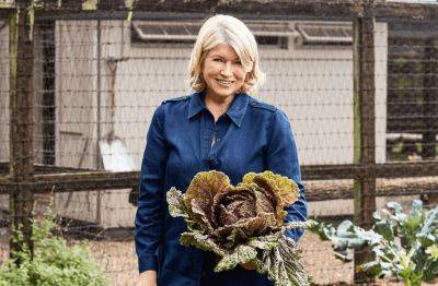 Martha Stewart Grows Vegetables On Raised Beds—Here's Why