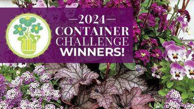 2024 Container Garden Challenge Winners!