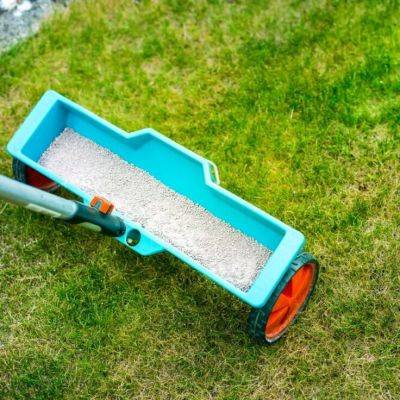 Organic Fertiliser for Your Lawn: How and When to Use It?