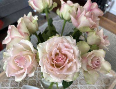 I Tried "Fluffing" Roses Like a Florist, and I Never Will Again