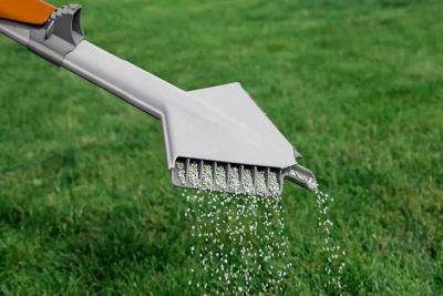5 Fertilizing Mistakes You Might Be Making on Your Lawn, an Expert Says