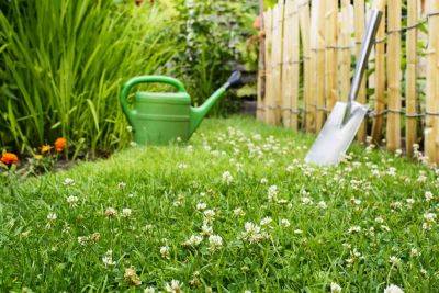 7 Tips for a Healthy Lawn This Spring, According to Experts