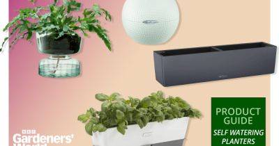 Best Self-Watering Planters and Pots in 2024