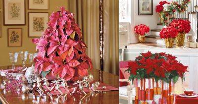 16 Attractive Ideas to Decorate your Home with Poinsettias